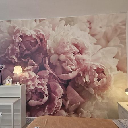 Apartament Casa Le Coccole Livorno Zewnętrze zdjęcie
